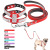 Pet Hand Holding Rope Dog Harness Collar Pet Supplies pet products