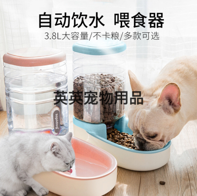 Dog Automatic Pet Feeder Cat Water Fountain Dog Bowl Cat Basin Water Feeding Bowl Cat Bowl Combination Grain Bucket