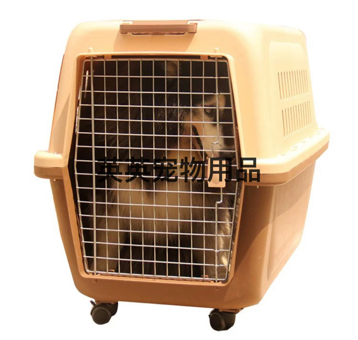 Product Image Gallery