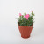 Antique Export Flower Pot Vertical Pattern round Simple Creative Personality Balcony Green Radish Plastic Flower Pot Pot Plant Flowerpot