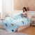 Factory Direct Supply Summer Blanket Airable Cover Single Double Thin Quilt Gift Quilt Spring and Autumn Duvet Insert Machine Washable Summer Blanket