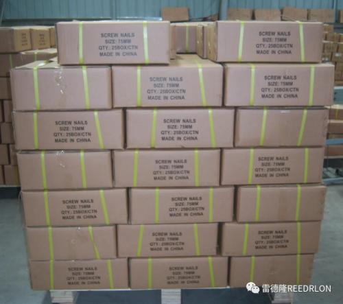 galvanized screw nail/galvanized screw nail