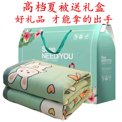 Factory Wholesale Summer Quilt Airable Cover Summer Blanket Will Sell Exhibition Gift Quilt Opening Event Prizes