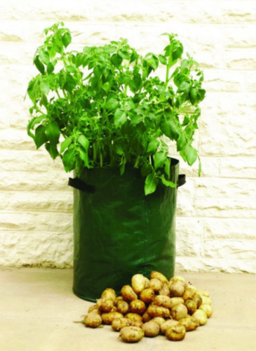 family balcony garden potato planting sack