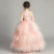 Children's Dress 2022 Spring Tulle Tutu Flower Girl Host Costume for Piano Performance Children and Teens Princess Dress