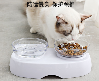 Transparent Slow Food Cat Bowl Foreign Trade Exclusive