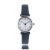 Artistic Temperament Thin Belt Small Dial Digital Casual Watch AliExpress Foreign Trade Popular Style Women's Quartz Watch