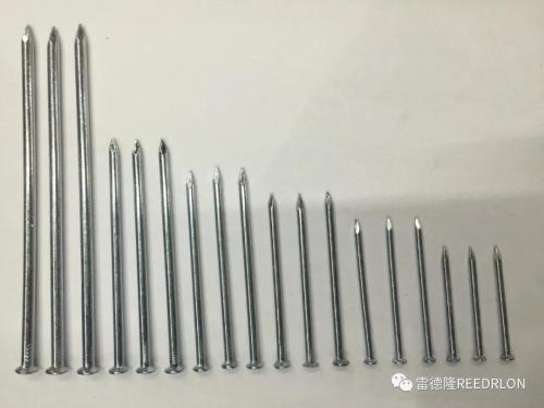 galvanized iron nail/galvanized nail