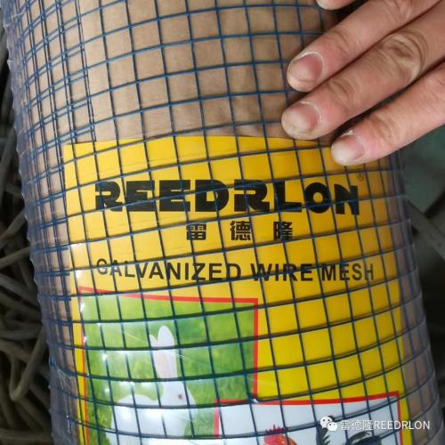 blue pvc welded wire mesh/blue color pvc covredwelded wire mesh