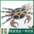 Manufacturers Supply Crafts Bamboo Crab Bamboo Crafts Travel Crafts Handmade Bamboo Products