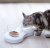 Oblique Transparent Cat Double Bowl For Foreign Trade