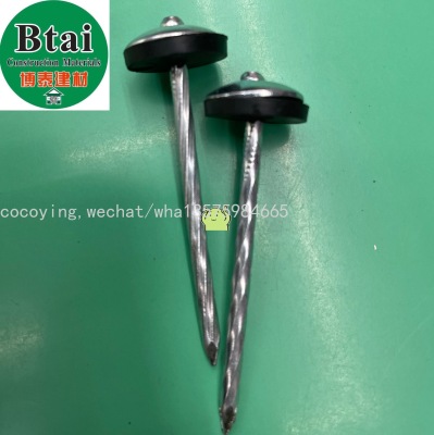 roofing nail 