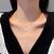 Japanese and Korean Ins All-Match Crown Titanium Steel Necklace Simple Personality Fritillary Pendant Cold Style Fashion Temperament Clavicle Chain