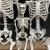 Halloween Skull Skeleton Horror Props Bar Haunted House Decorations Plastic Simulation Bone Human White Bone