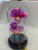 Rose with Light Glass Cover, Mother's Day, Valentine's Day, Christmas Gifts Must-Have Gifts for Various Occasions