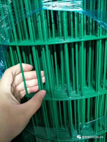 redlon holland network green pvc plastic-coated barbed wire fence welded wire mesh