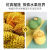 New Exotic Creative Decompression Fruit Durian Pinch Leshu Pressure Small Toy Vent Ball Decompression Vent Tofu Ball