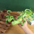 Simulation Toy Lizard Lobster Crab Pig Marine Animal Model Children Early Education Perception Sound Squeezing Toy Gift