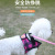 New Outdoor Anti-Punching Anti Breaking Loose Pet Harness Fashion Avoid Cutting into the Neck Dog Vest Style Chest Strap Hand Holding Rope