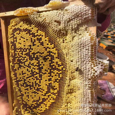 Running Rivers and Lakes Stall Wholesale Honeycomb Honey Farm Native Honey Iron Case Squeezing Honey Now Squeezing and Selling Nest Honey