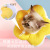 Cat Elizabeth Ring Flower Cat Collar Anti-Licking Bite Rabbit Collar Waterproof Head Cover Shame Ring Pet Supplies