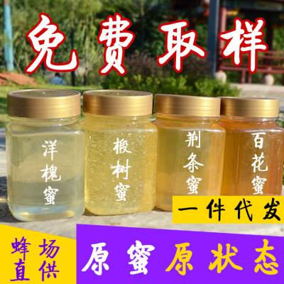 Locust Lychee Honeycomb Honey Local Specialty Native Honey Exhibition Running Rivers and Lakes Honey of Various Flowers