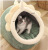 (Small Wholesale) Doghouse Cathouse Pet Bed Seat Cushion Cute Modeling Four Seasons Supplies Large, Medium and Small Cat