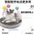 Kitty Gravity Calling Ball Toy Cat Teasing Ball Catnip Sound Molar Long Lasting Self-Hi Relieving Stuffy Pet Supplies