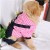 Big Dog Clothes Autumn and Winter Clothes Dog Dog Clothes Teddy Clothes Pet Clothes VIP Bichon Winter Clothes Four-Legged Pet Clothing Golden Retriever
