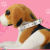 Factory in Stock Dog Collar Pet Supplies New Medium Large Dog Supplies Hand Holding Rope Pet Collar Wholesale