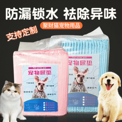 Urinal Pad for Pet Dog Disposable Training Diapers Deodorant Absorbent Pet Diapers Diaper Pants Dogs and Cats Cleaning Supplies