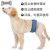 Doremi Anti-Harassment Dog Physical Pants Teddy/Golden Retriever Absorbent Male Dog Sanitary Panty Four Seasons Breathable Pet Trousers