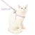 21 New Pet Hand Holding Rope Little Daisy Bow Hand Holding Rope Cat Pulling Rope Hand Holding Rope Chest Strap Dog Hand Holding Rope