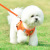 New Pet Harness Vest Dog Hand Holding Rope Reflective Breathable Dog Rope Pet Supplies Wholesale