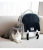 Cross-Border New Arrival Cat Bag Foldable Cat Backpack Cat Bag Pet Backpack Breathable Pet Bag out Portable Pet Bag Pet Bag