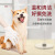 Japanese Kojima Pet Gloves Wipes Five Finger Cat Hair Removal Dog Fabulous No-Wash Cleaner Pet Cleaning Supplies 6 Pieces