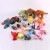 New Pet the Toy Dog Dog Toy Bite-Resistant Plush Fruit Sound Toy Plush Toy Cat Supplies Wholesale