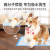 Urinal Pad for Pet Diapers Dog Diapers Urine Pad Thickened Baby Diapers Deodorant Cat Pet Training Toilet Accessories