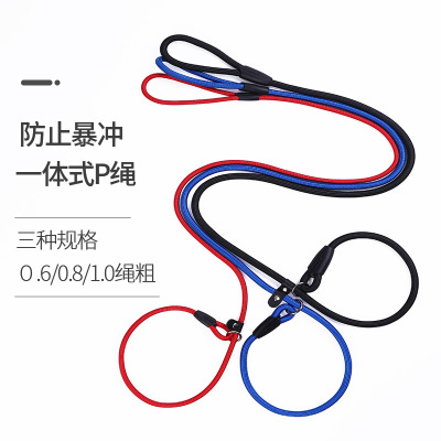 Factory Direct Sales Dog Traction Belt Pet Dog Leash Nylon Pet P Chain More than Hand Holding Rope Specifications Dog Leash Spot