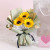 Carnation Bouquet Present to Girl Teacher Kindergarten Graduation Activity Women's Day Goddess Staff Gift