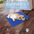 Pet Supplies Amazon New Pet Ice Mat Dog Mat Mat Gel Cooling Ice Pad Summer Pet Pad