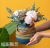 Nordic Style Morandi Ins Ceramic Portable Flower Pot Succulent Hanging Pots Hotel Home Modern Flower Pot