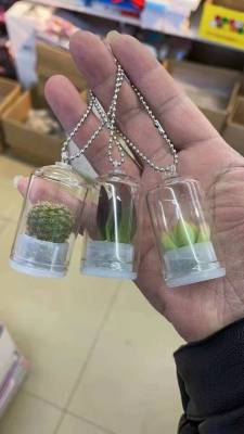 Plant Pendant Bottle Planting Small Succulent Angel Greenhouse Mobile Phone Pendant Mini Watering Live Keychain Finished Product