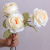Dried Flower Plastic Edge Rose Artificial Flower Fake Rose Flower Bouquet Home Ornamental Flower Photography Props