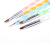 Nail Beauty UV Diamond Pen Double-Headed Nail Art Broad Brush Comprising a Row of Penshaped Brushes Painting Pen 5-Piece Set Nail Brush Manicure Set