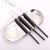 Manicure Implement Nail Art Hook Line Line Drawing Pen Black Rod 3 PCs Painted Pen Set Tools Manicure Brush