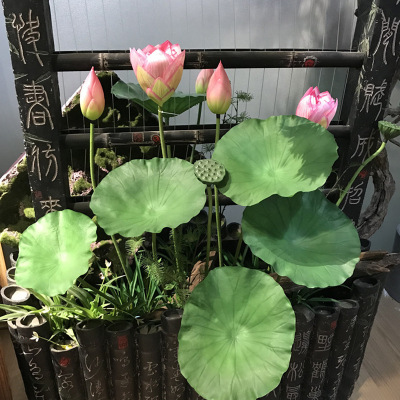 Lotus Buds Lotus Seedpod Pu Hand-Sensing Glue Artificial Flower Buddha Bouquet Factory Direct Sales Water Lily Wholesale