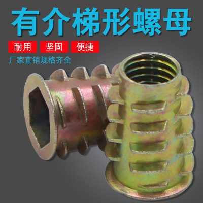 Nut Furniture Nut with Medium Nut with Internal and External Tooth Solid Wood Pre-Embedded Nut Hardware Accessories