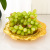 Alloy Fruit Plate European-Style Creative Living Room Fruit Plate Tea Table Household KTV Internet Celebrity Dried Fruit Snack Candy Plate