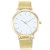 Wish AliExpress Mesh Strap Watch Fashion New Simple Quartz Watch Women's Small Wholesale